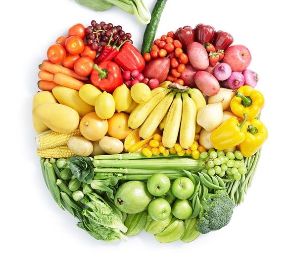 NUTRIÇÃO